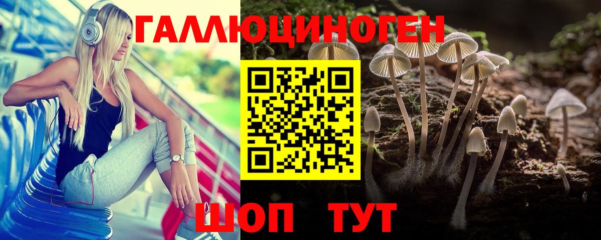 Псилоцибиновые грибы Cubensis Белореченск